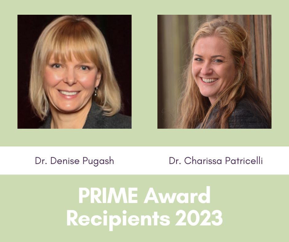 Announcing the 2023 Perinatal Research Imaging and Evaluation (PRIME