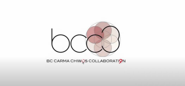 bcc3-video