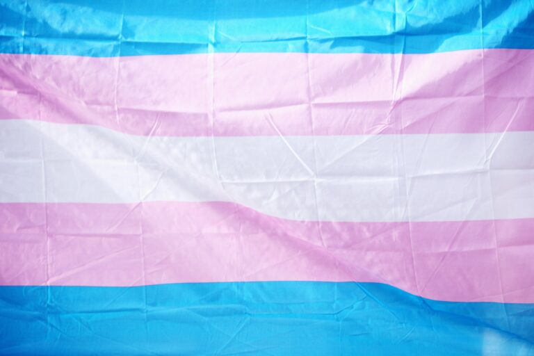 A photo of the transgender flag